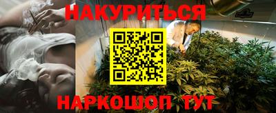 гашик Ливны